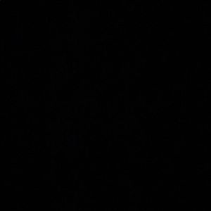 Meet your Posher, Hanna